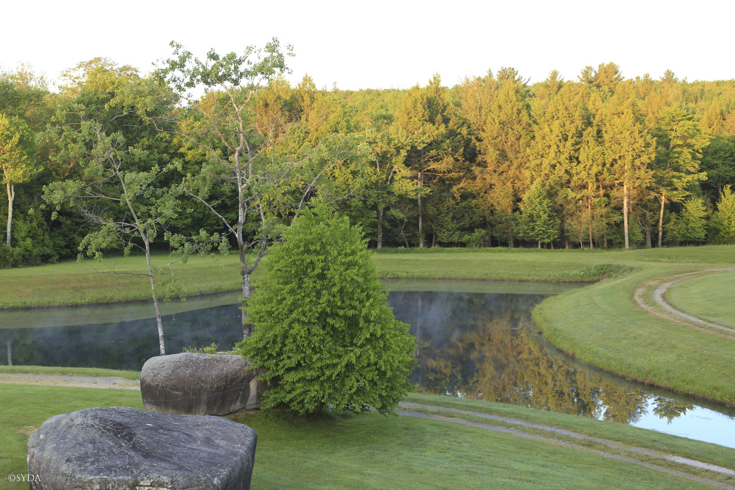 Nature Image