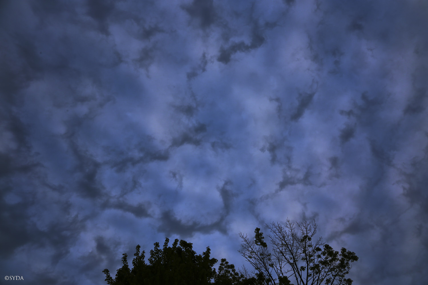 Nature Image