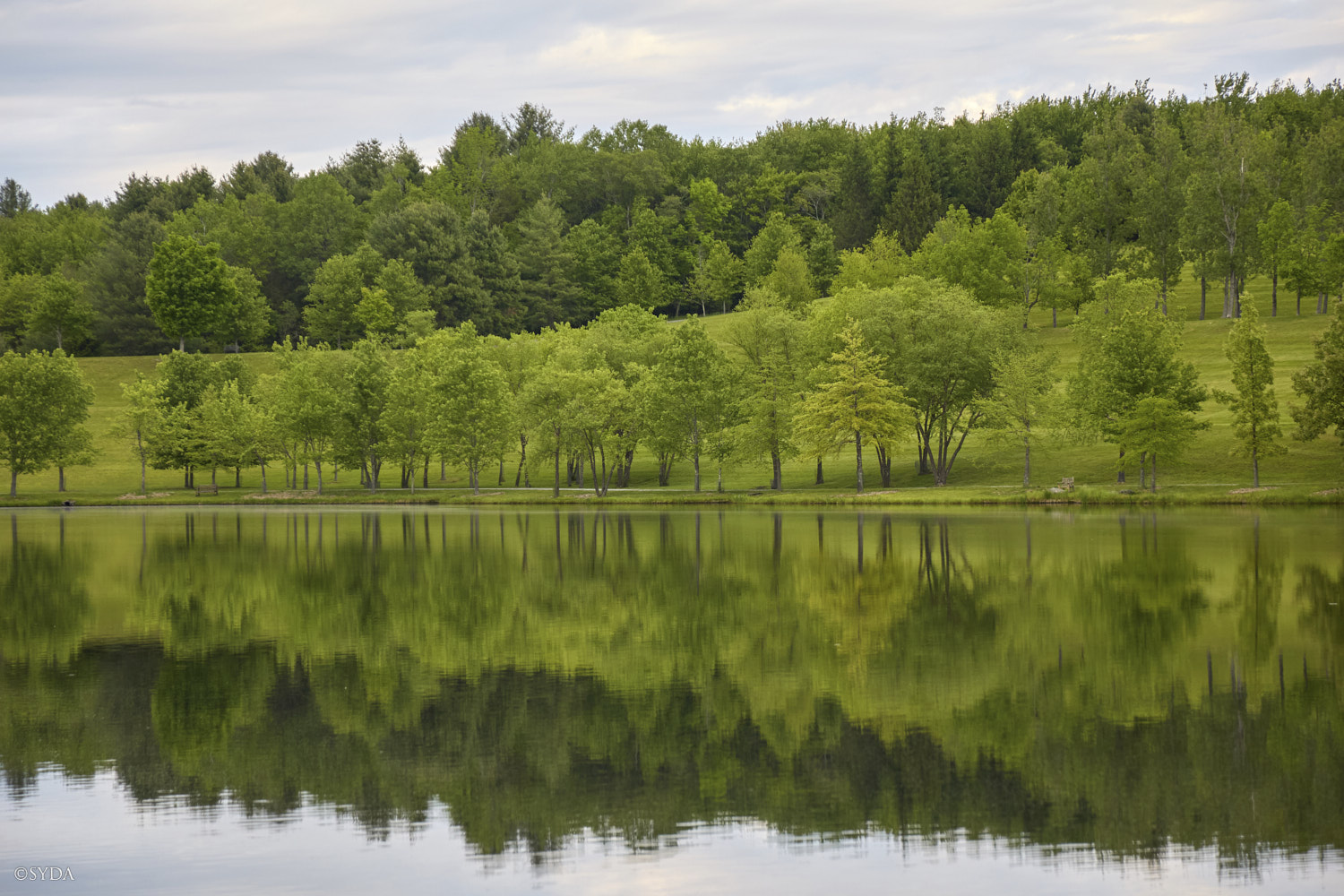 Nature Image