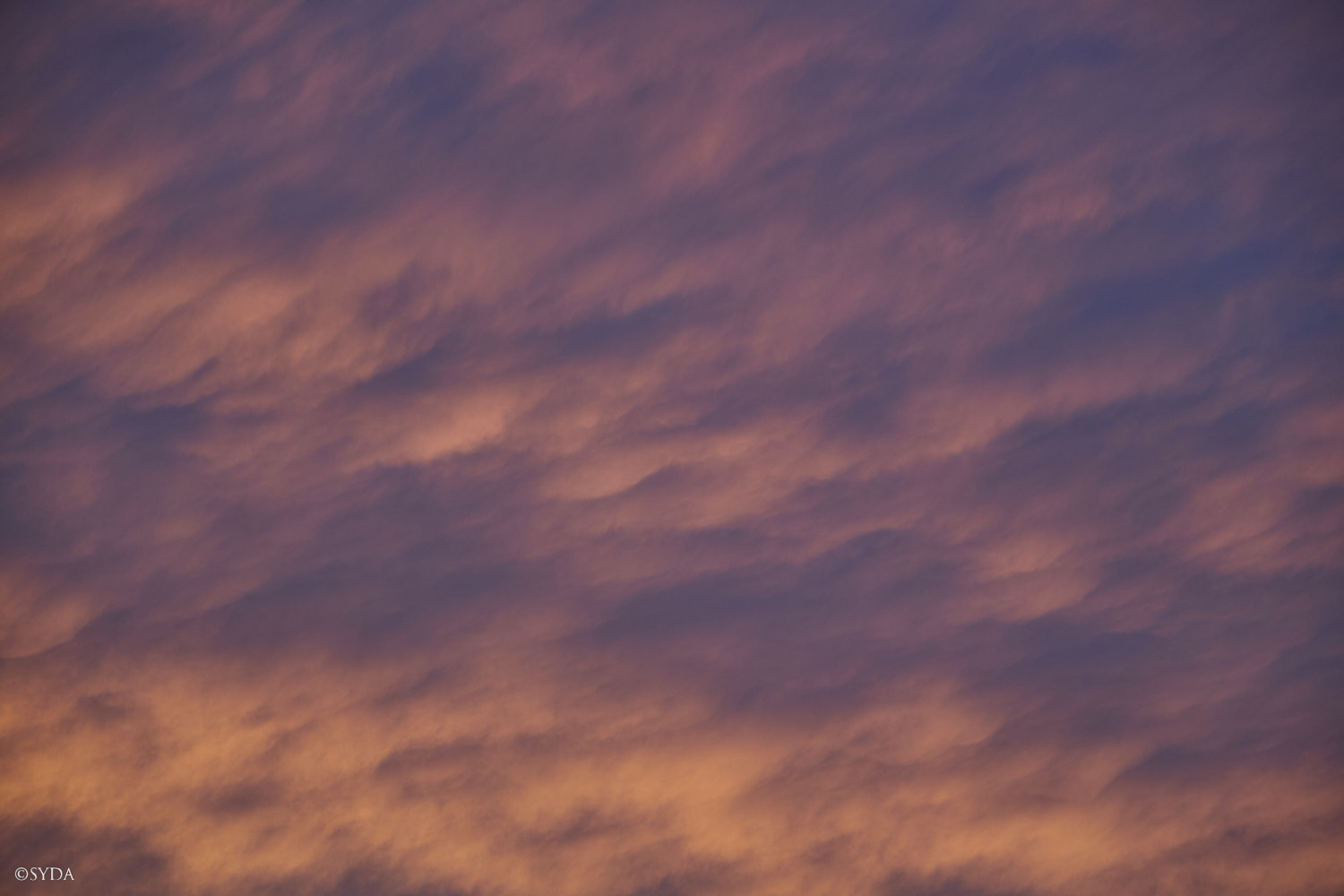 Nature Image