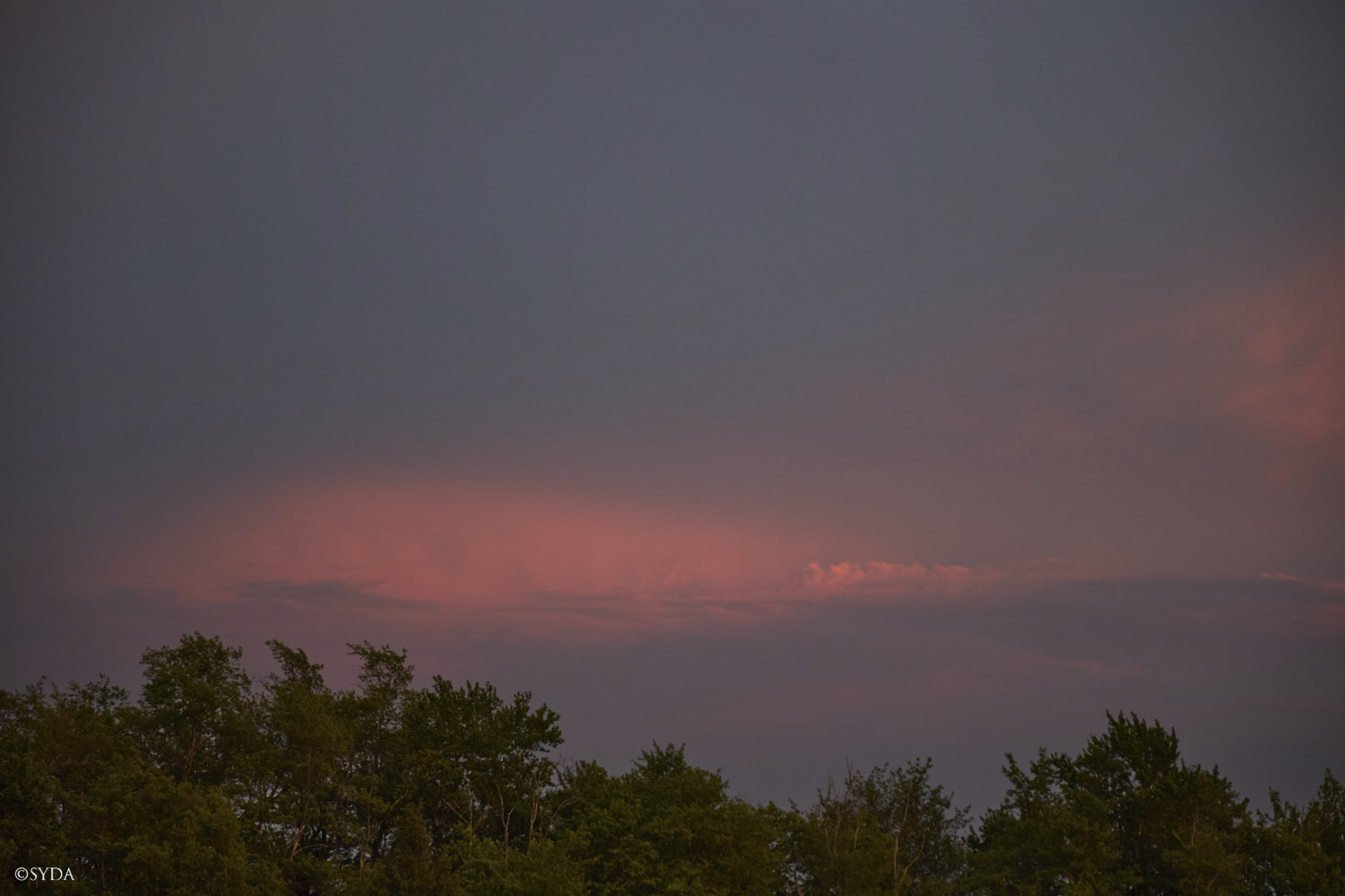 Nature Image