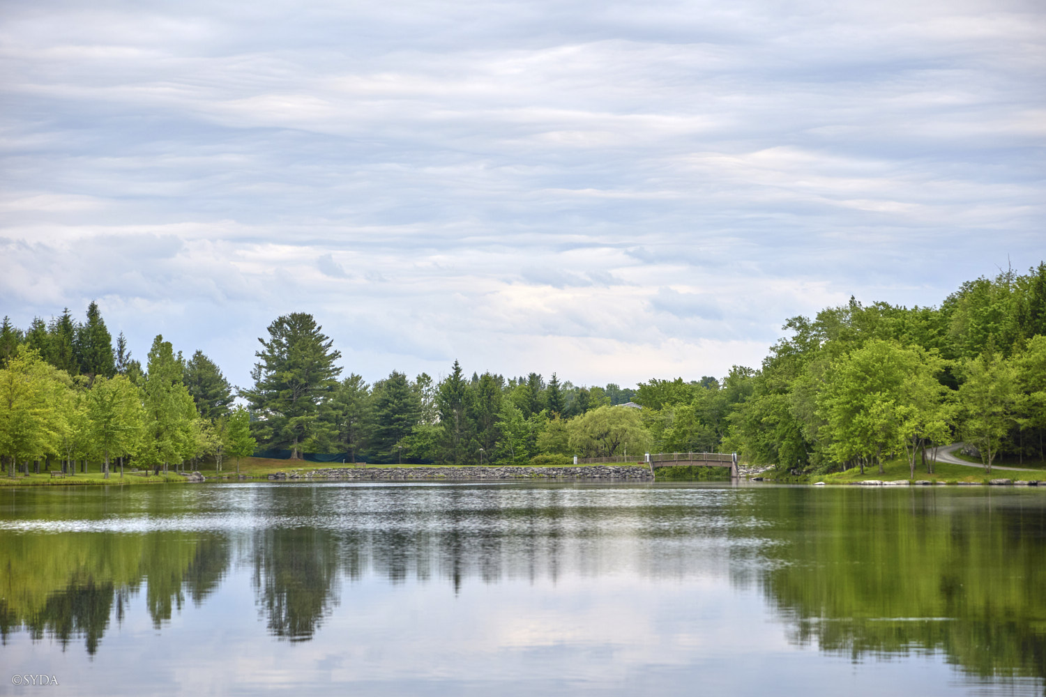 Nature Image