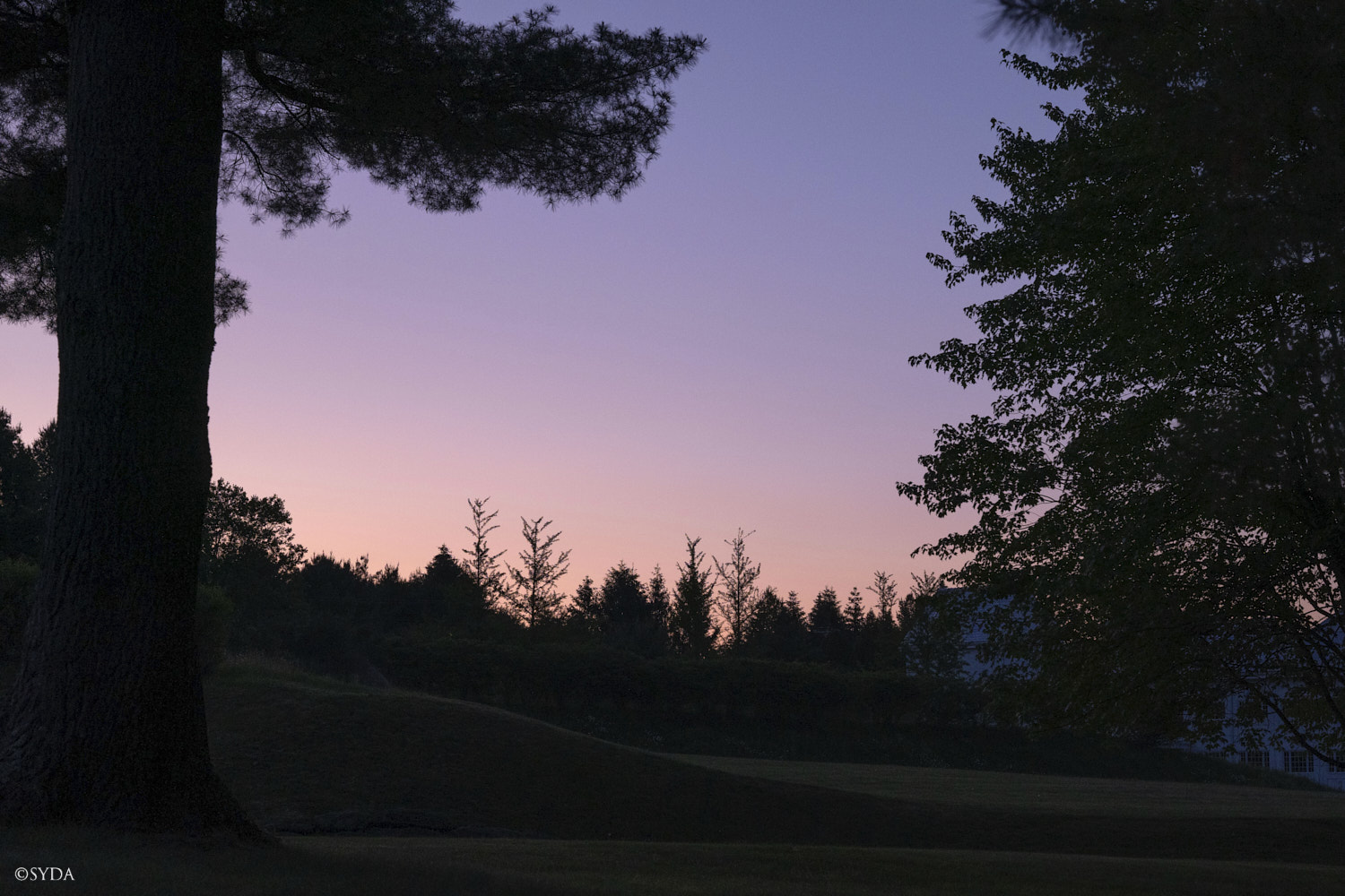 Nature Image