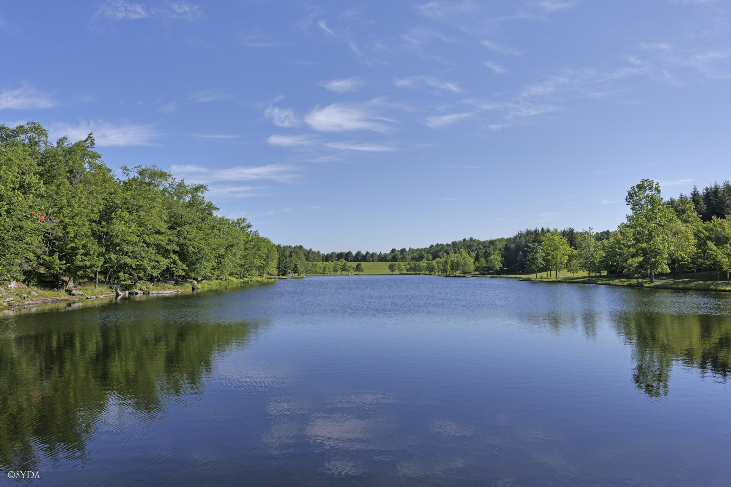 Nature Image