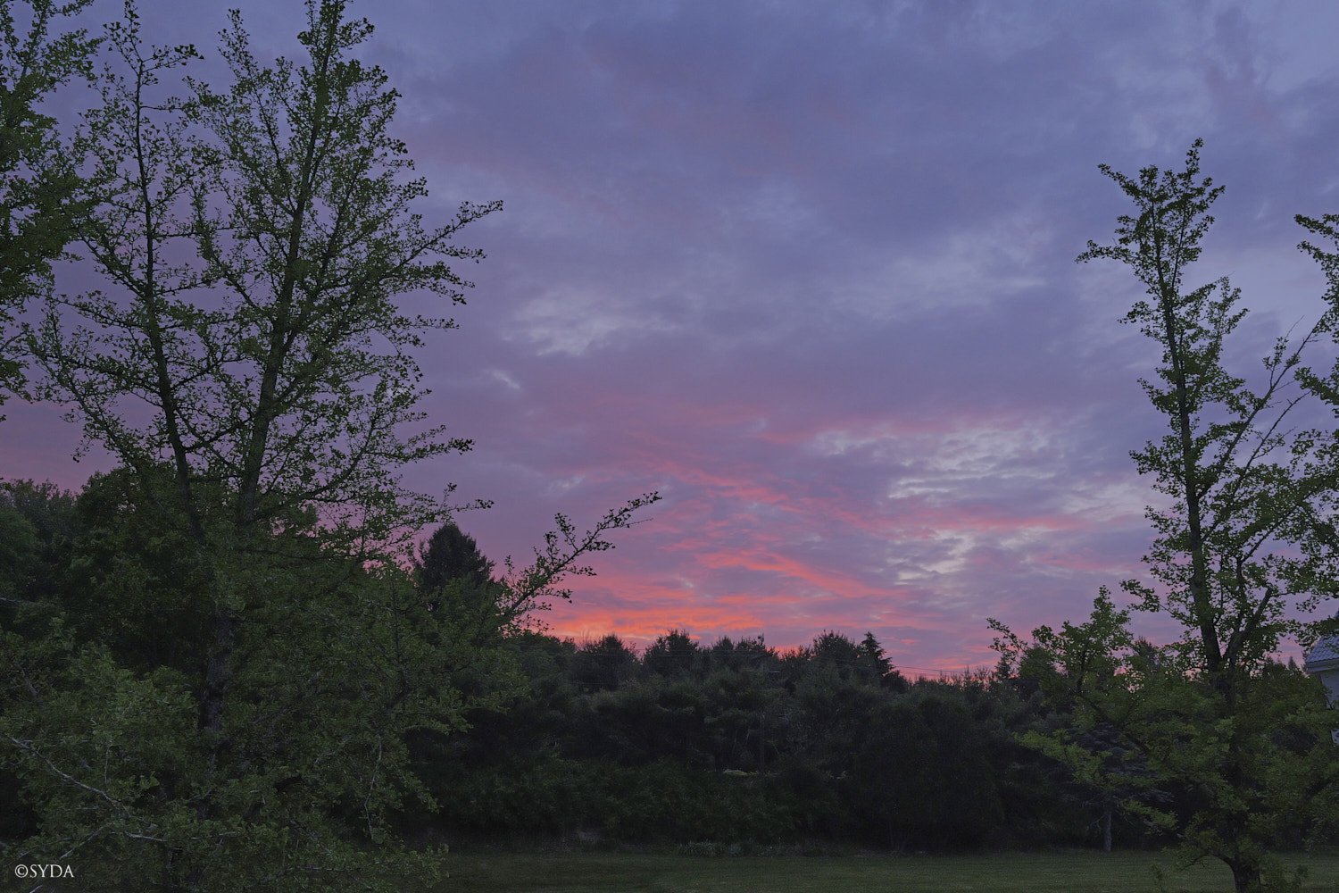 Nature Image