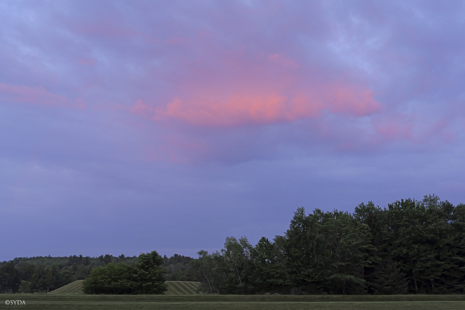Nature Image