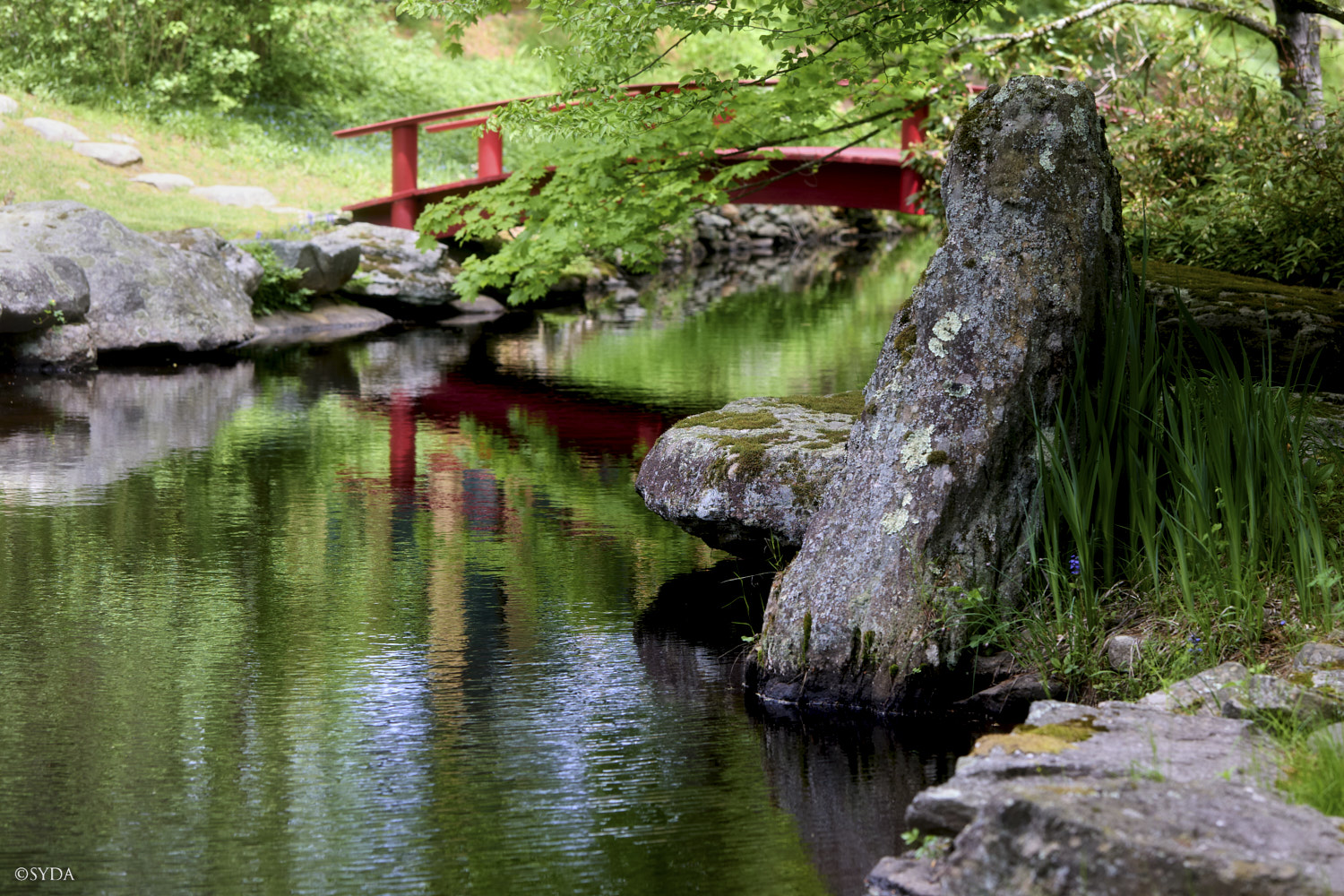 Nature Image