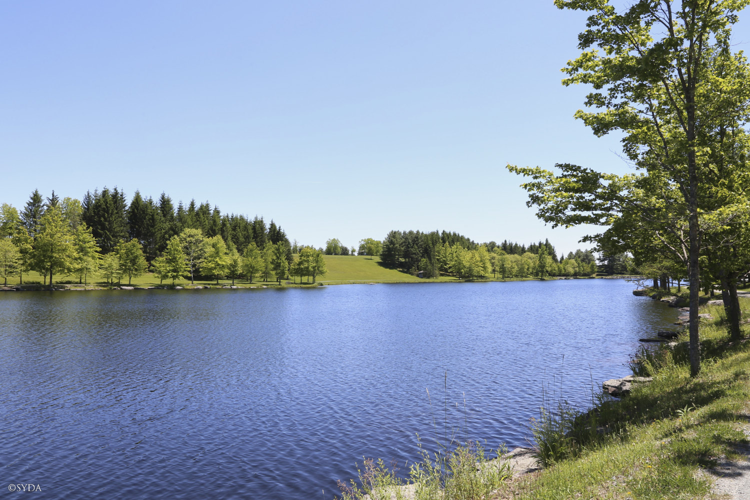Nature Image