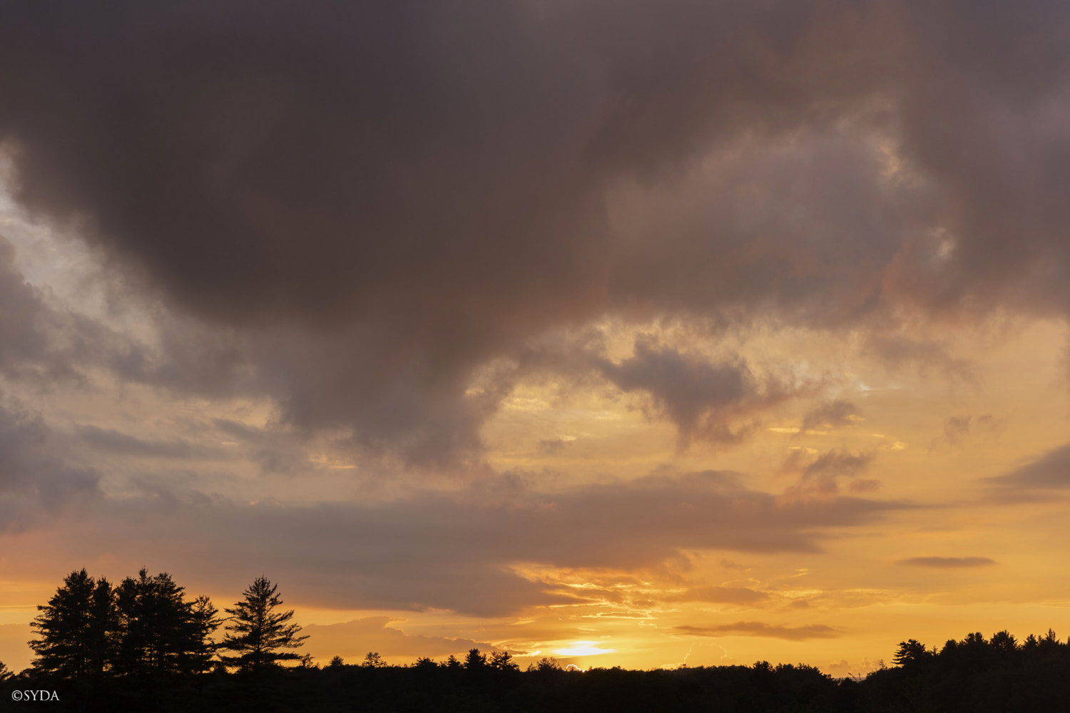 Nature Image