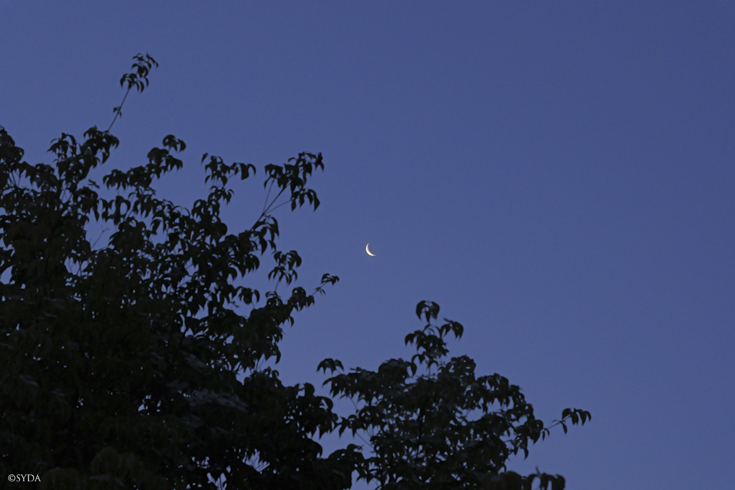 Nature Image