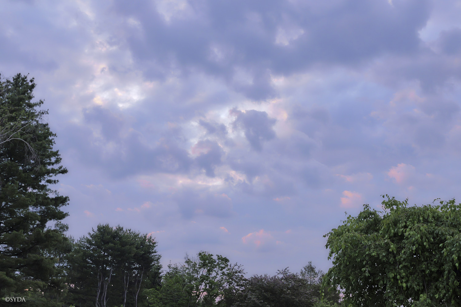 Nature Image