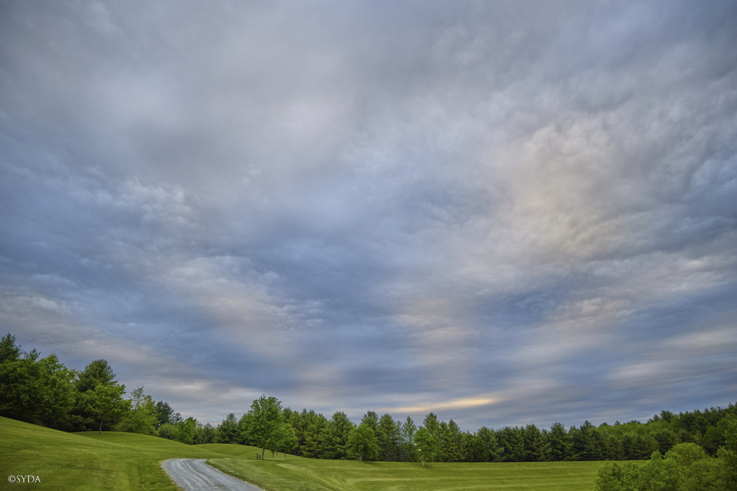 Nature Image