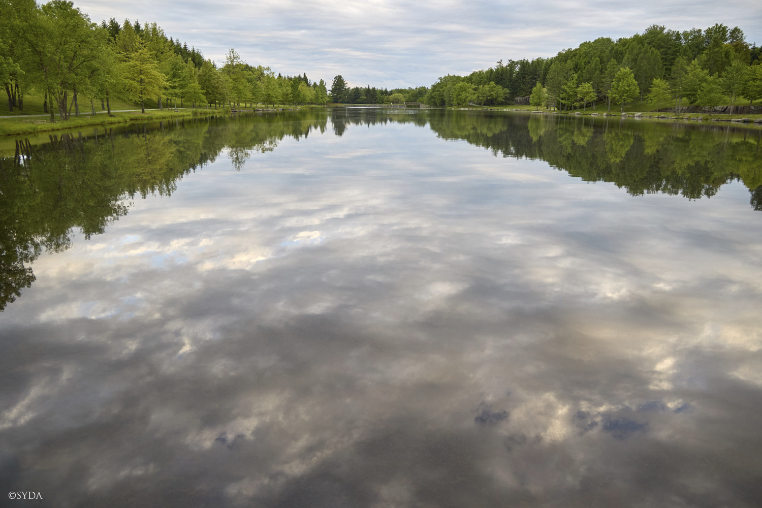 Nature Image