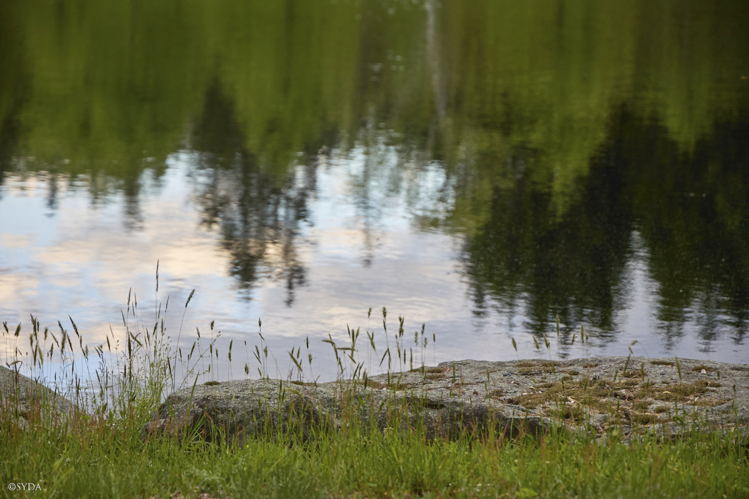 Nature Image