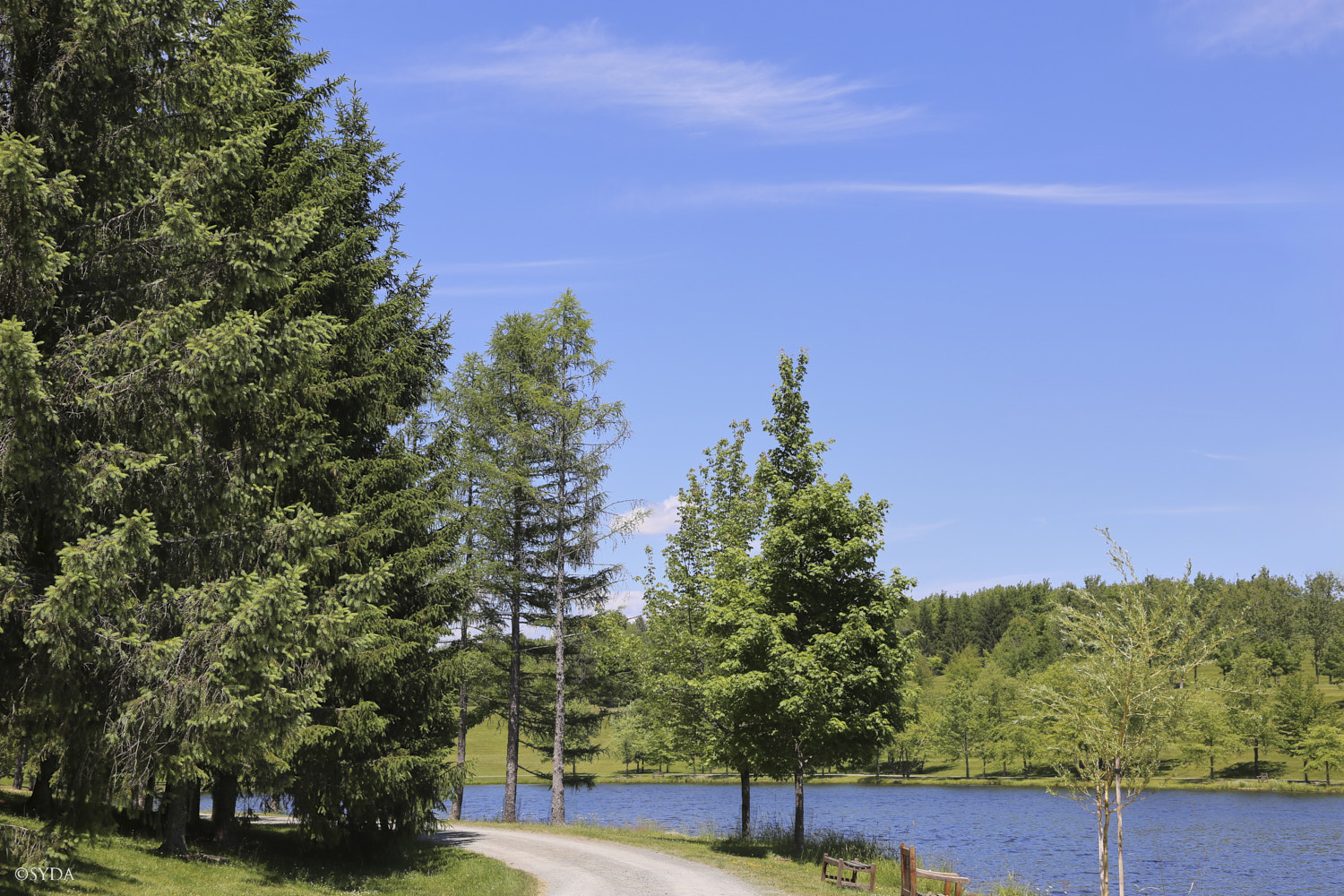 Nature Image