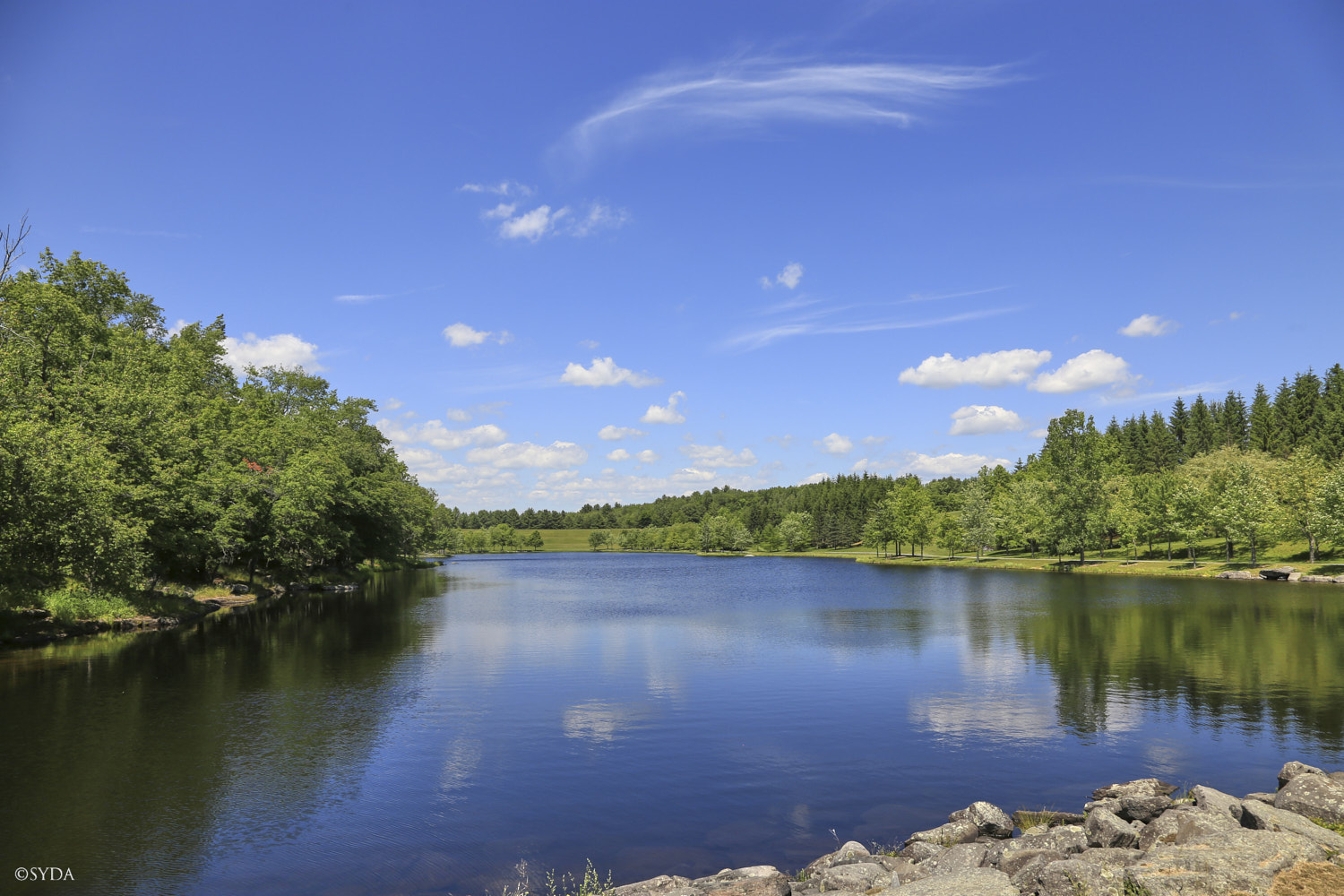Nature Image
