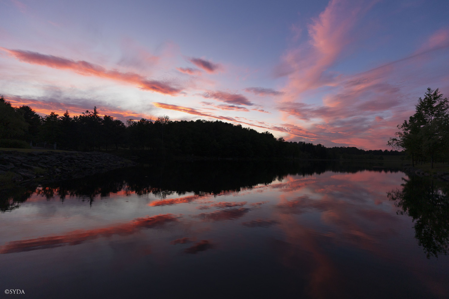 Nature Image