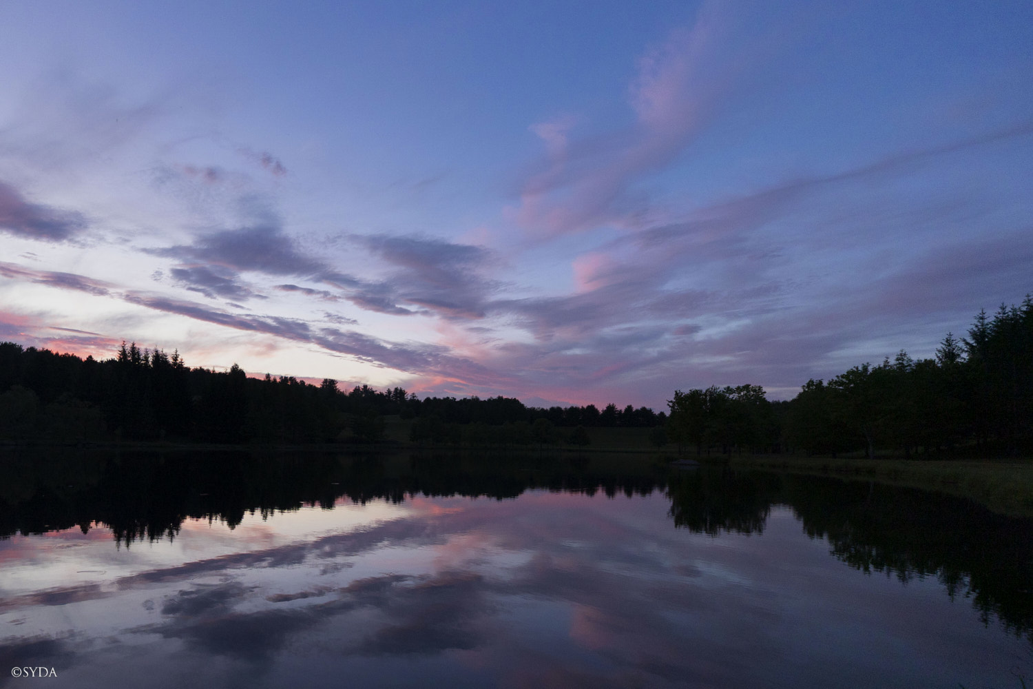 Nature Image