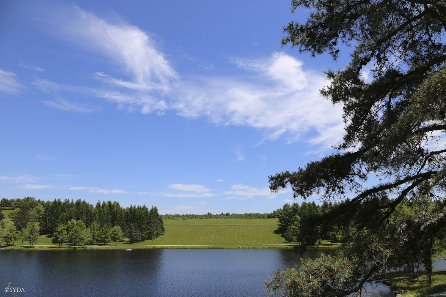 Nature Image