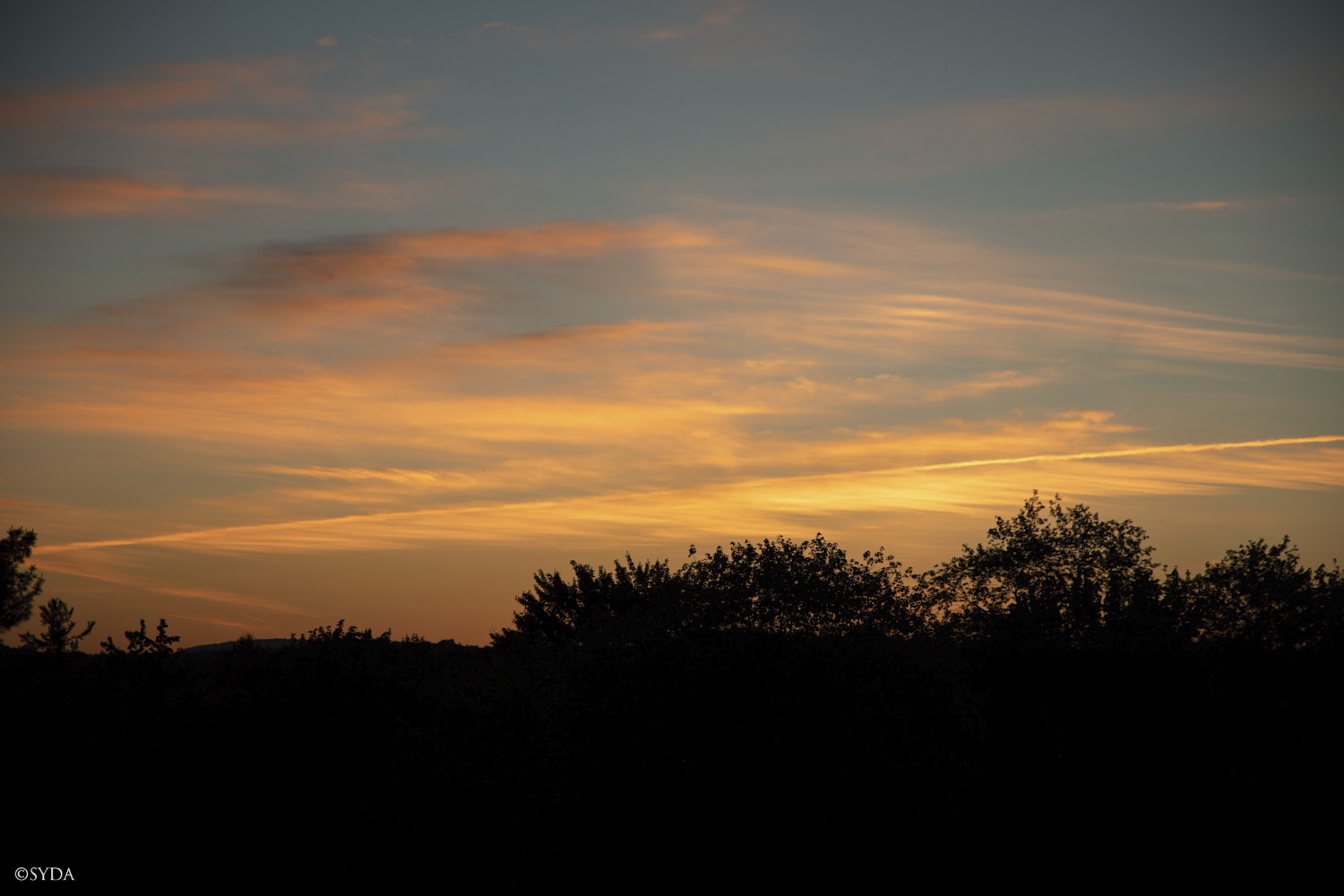 Nature Image