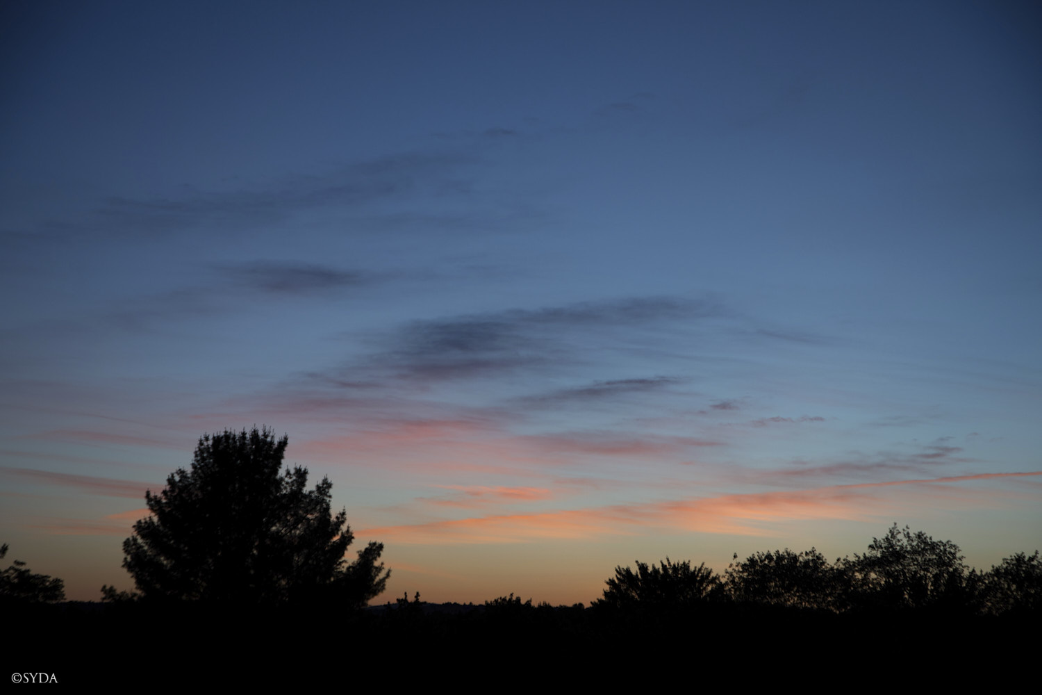 Nature Image