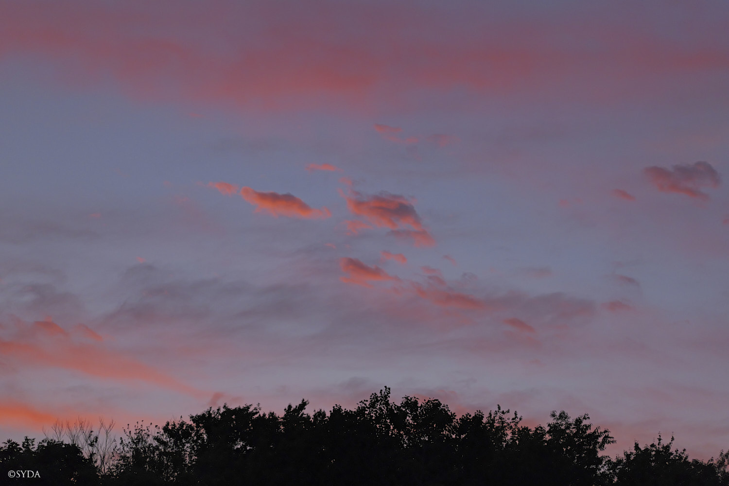 Nature Image