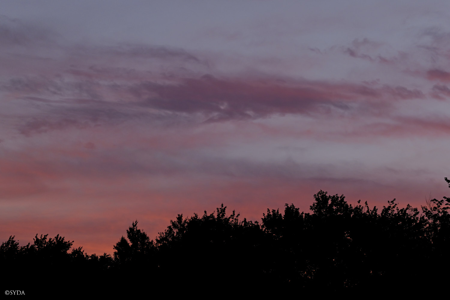 Nature Image