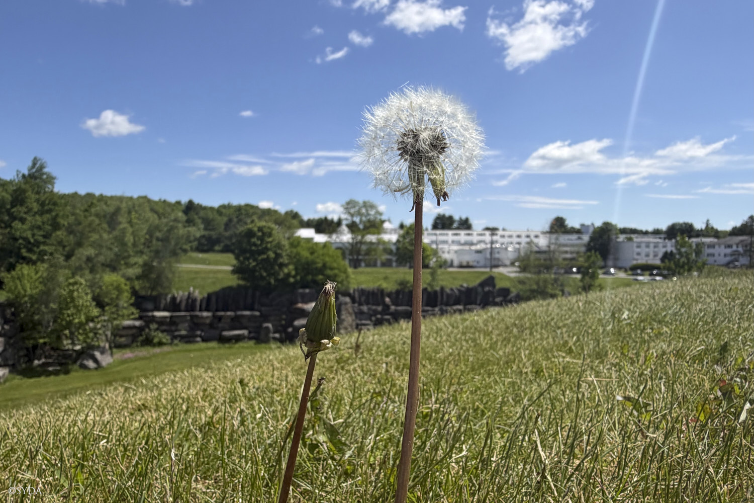 Nature Image