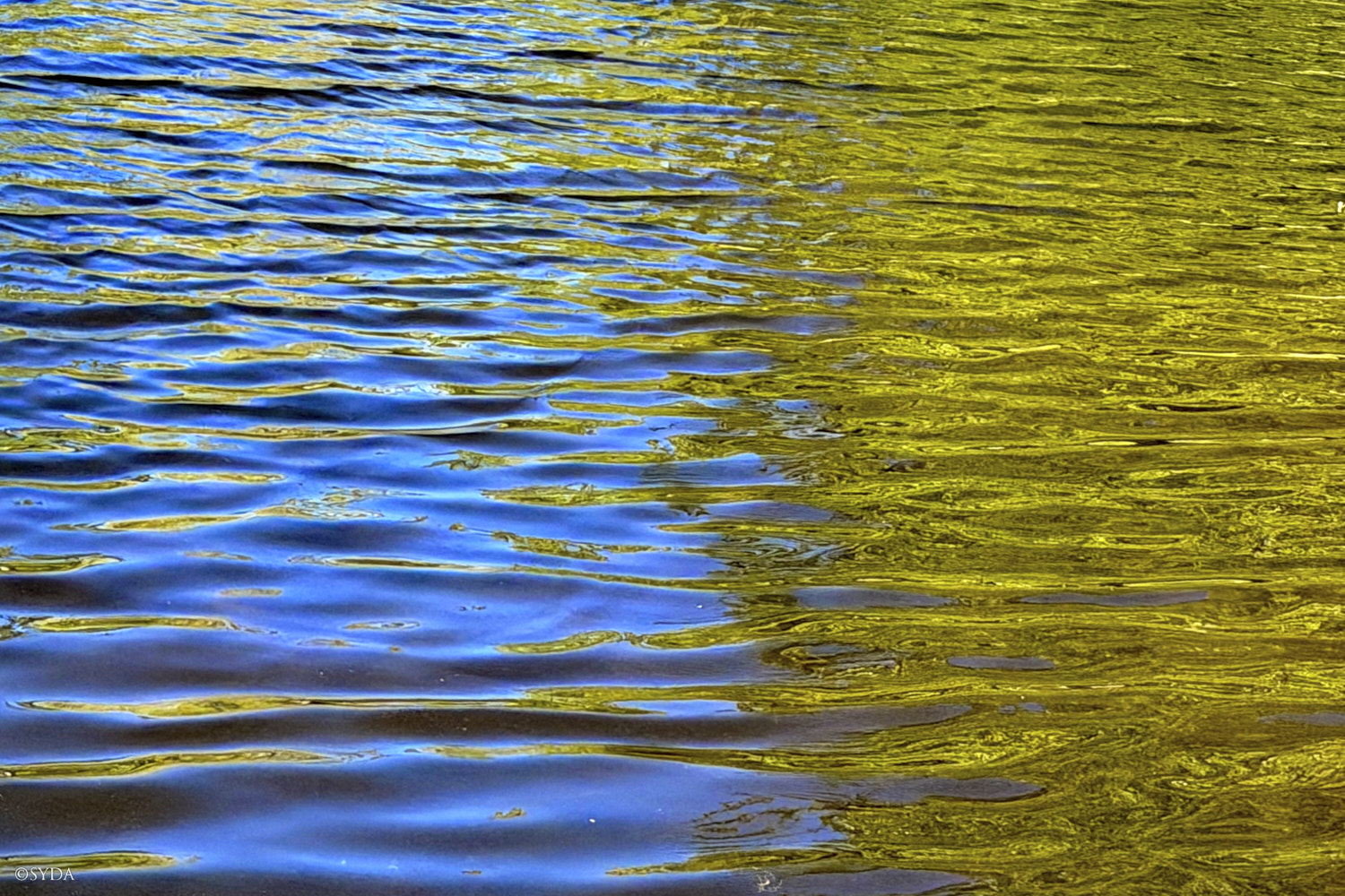 Nature Image