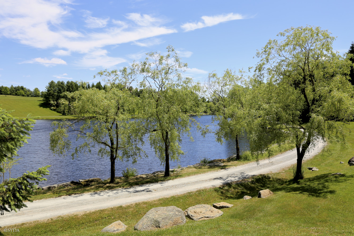 Nature Image