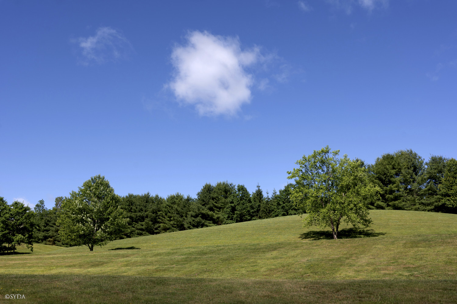 Nature Image