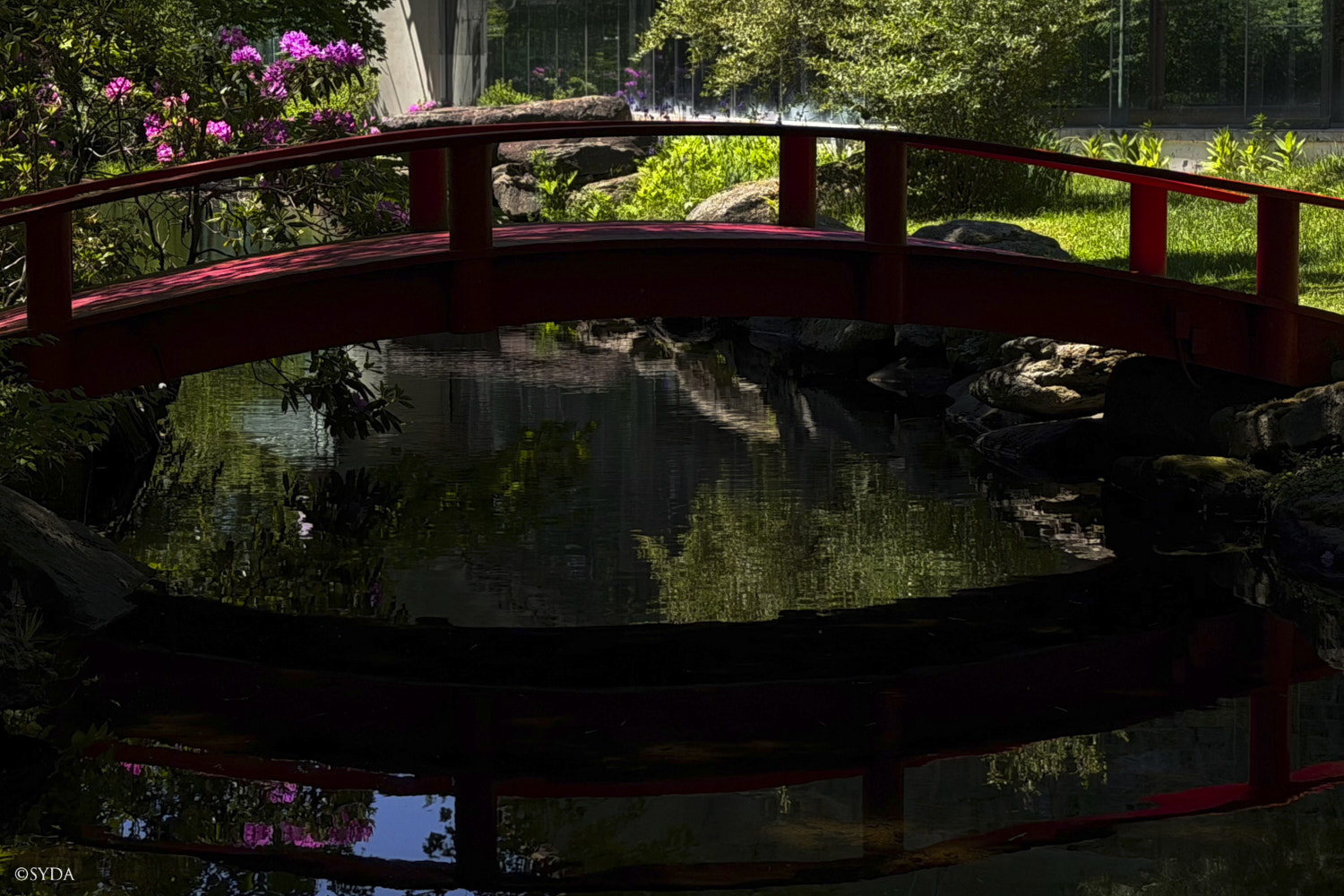 Nature Image