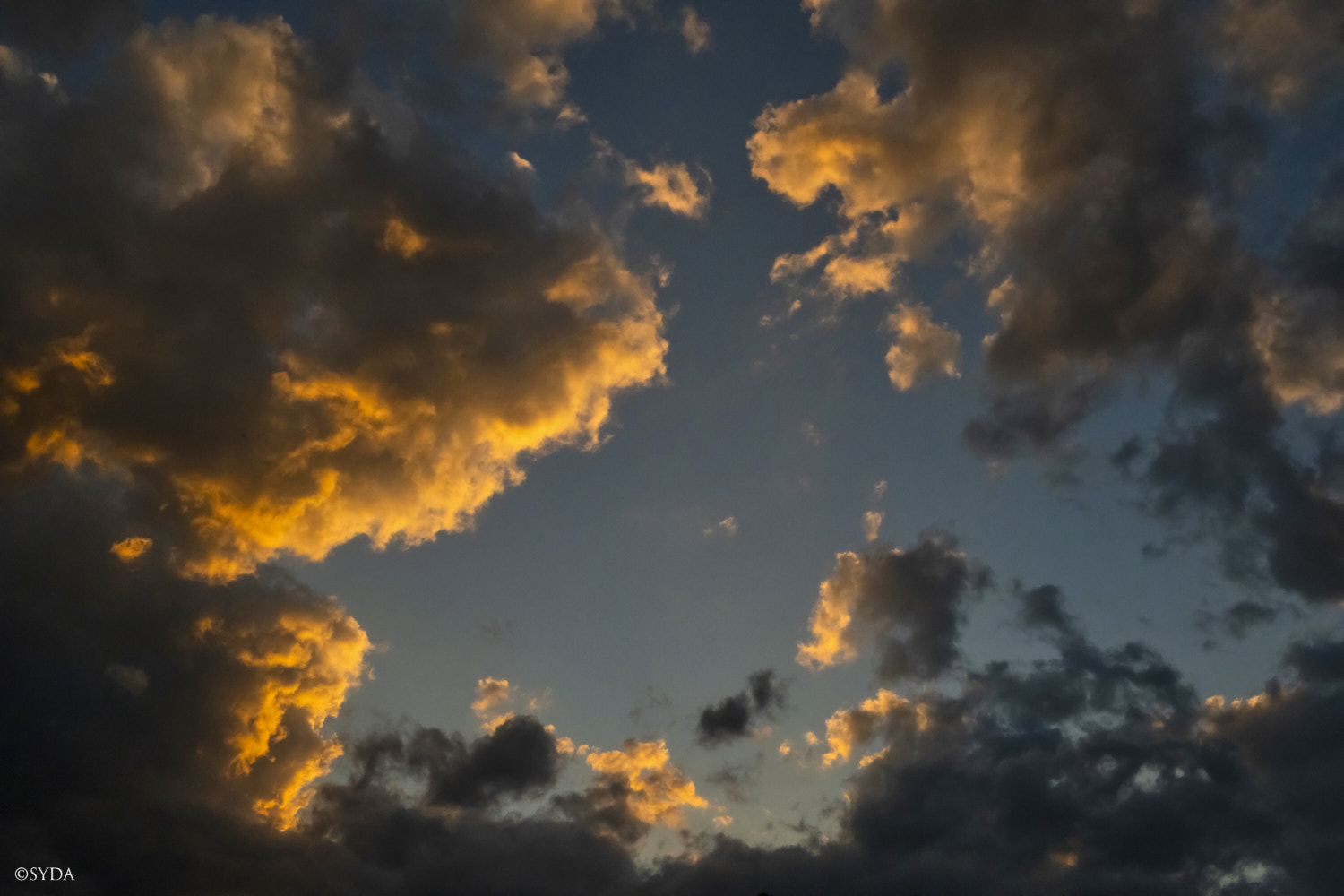 Nature Image