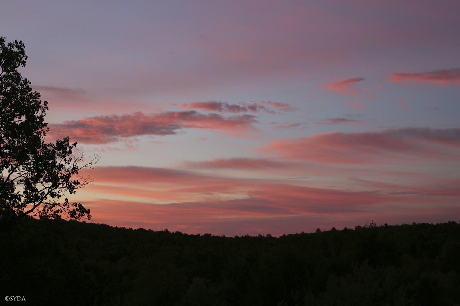 Nature Image