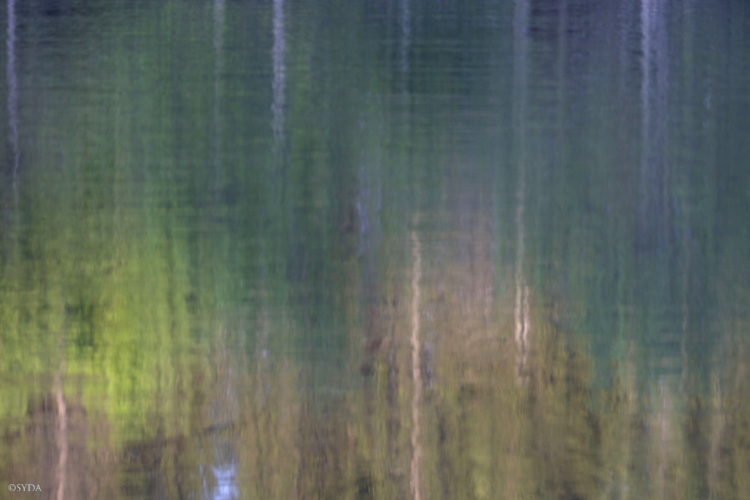 Nature Image
