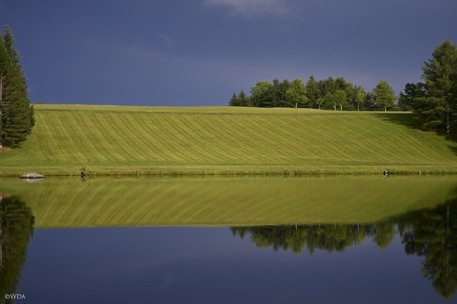 Nature Image