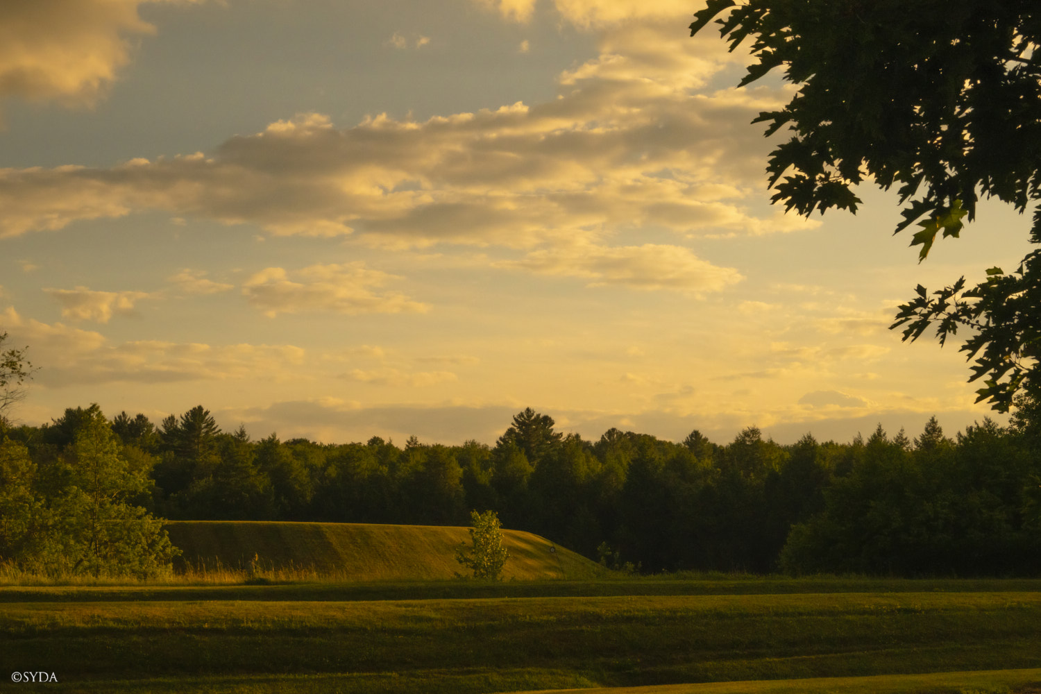 Nature Image