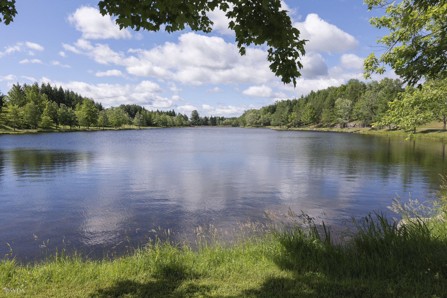 Nature Image