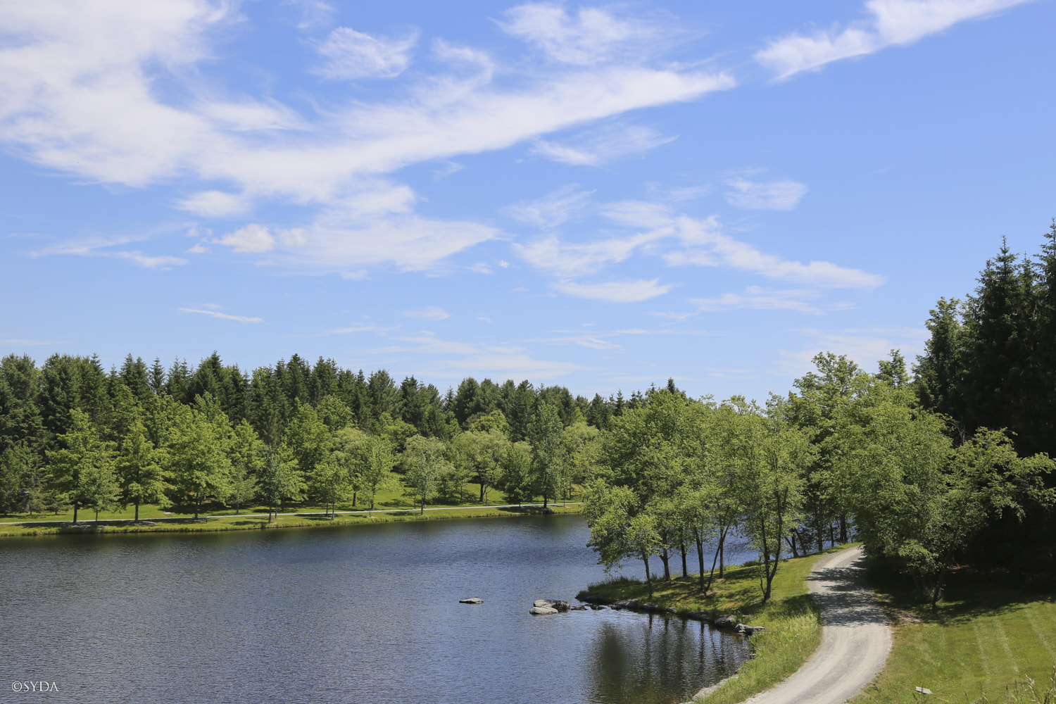 Nature Image