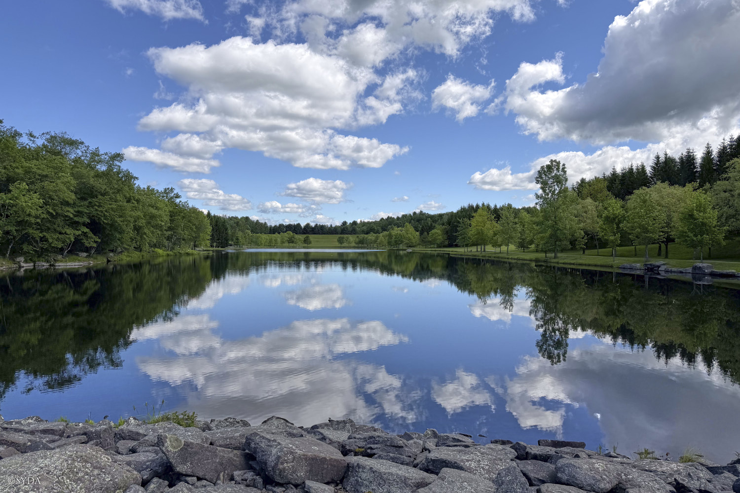 Nature Image