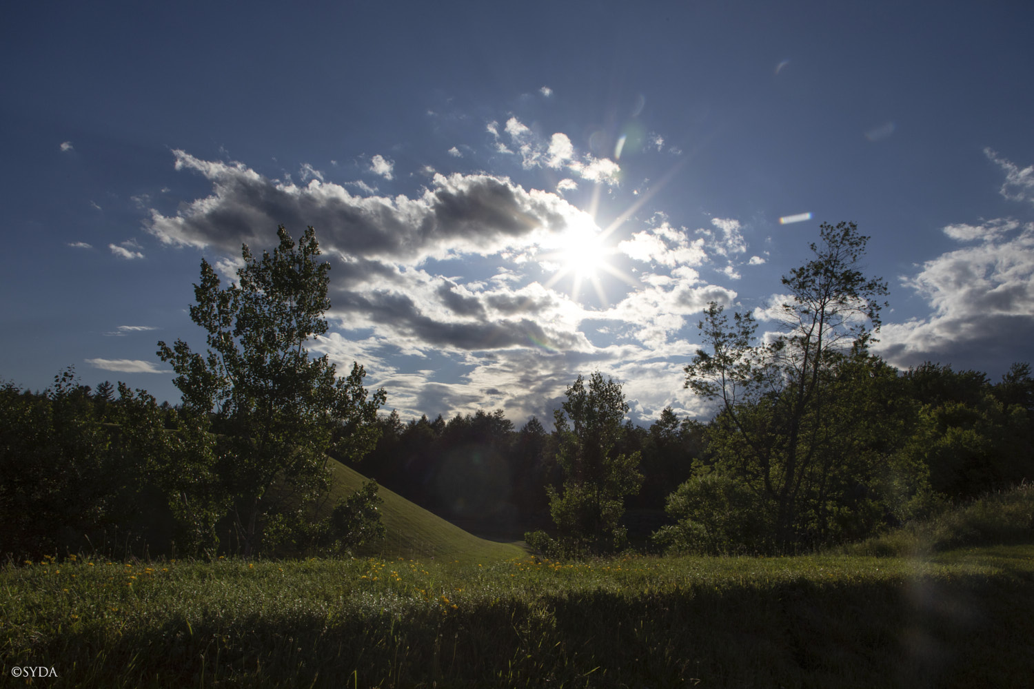 Nature Image