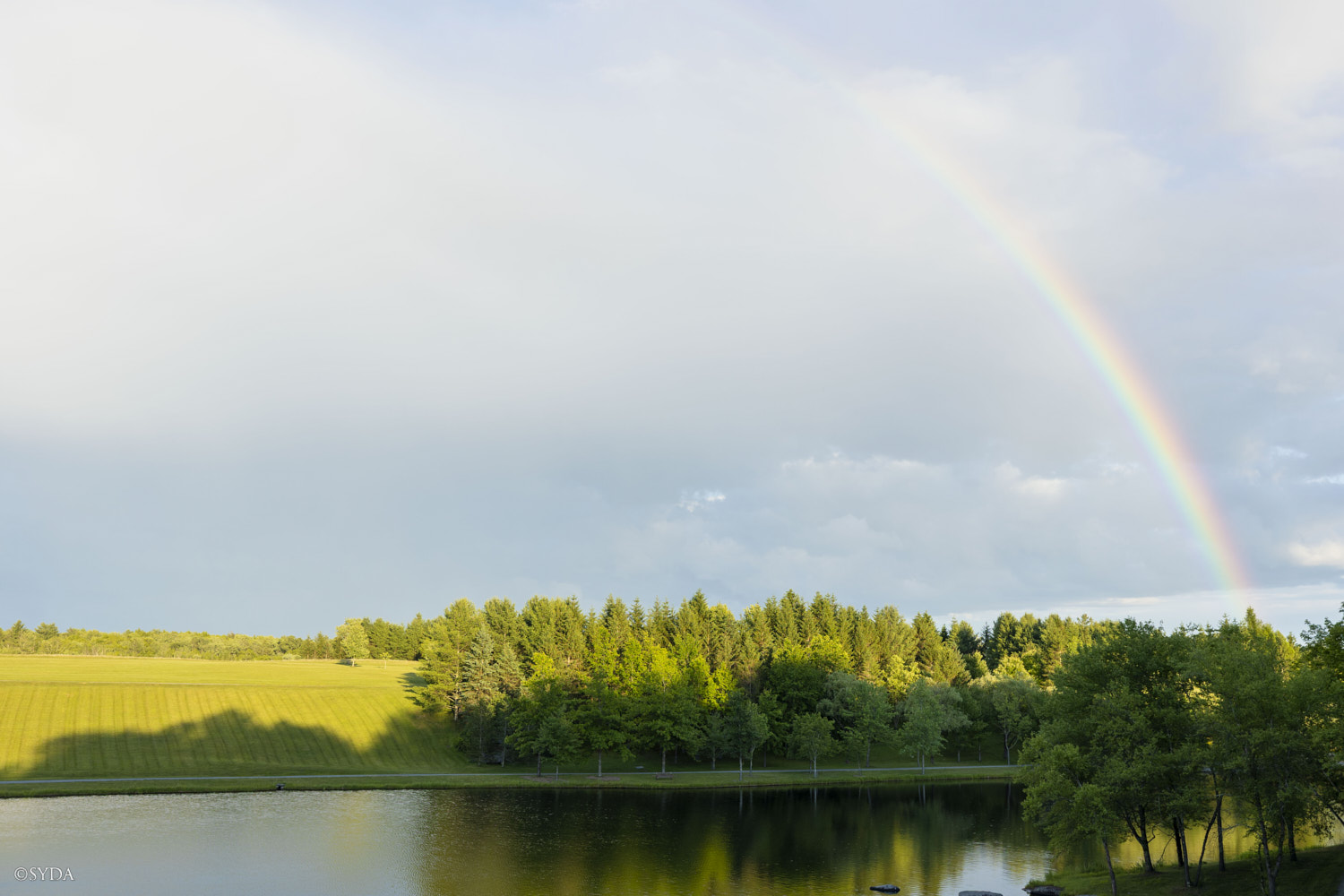 Nature Image
