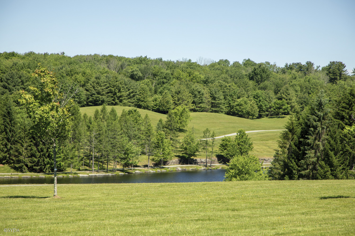 Nature Image