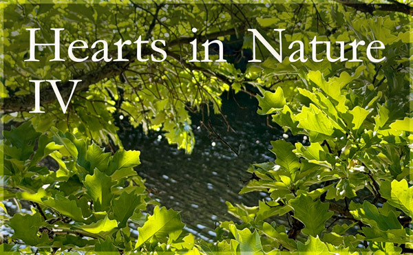 Hearts in Nature Gallery IV