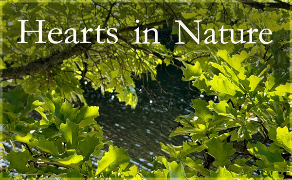 Hearts in Nature