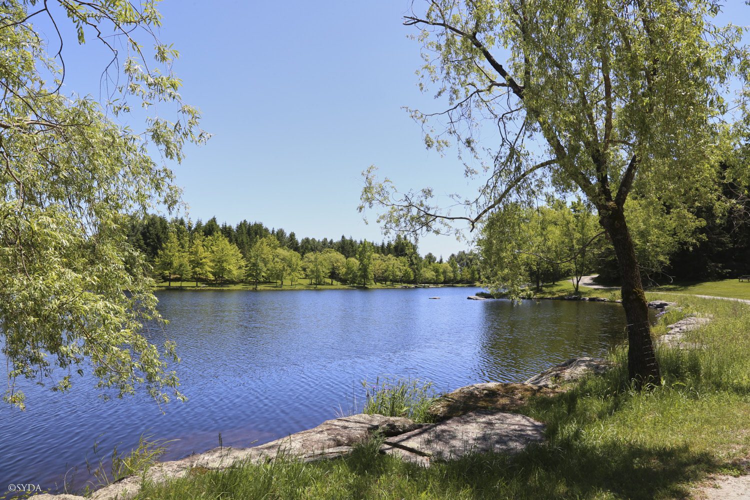 Nature Image