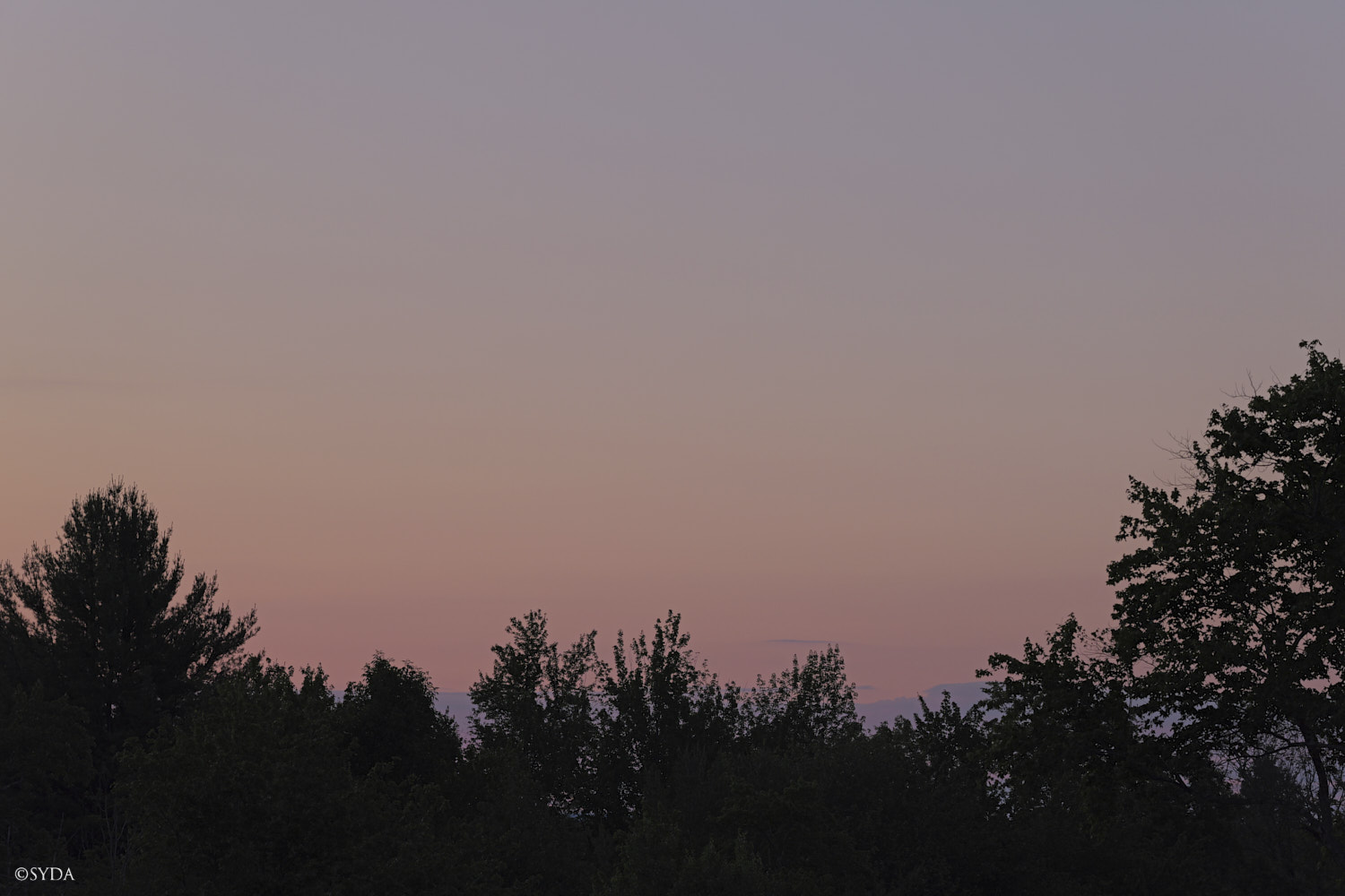 Nature Image