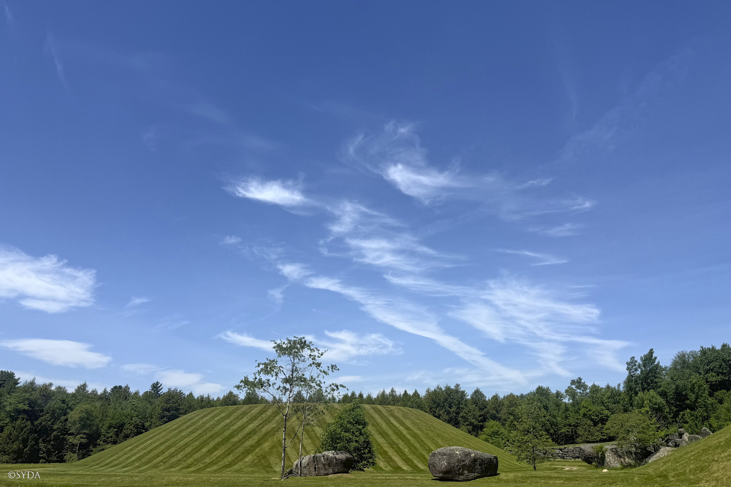 Nature Image
