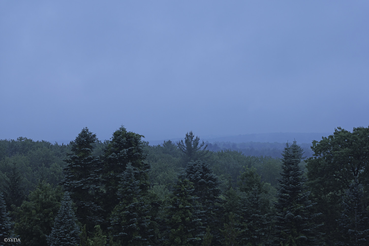 Nature Image