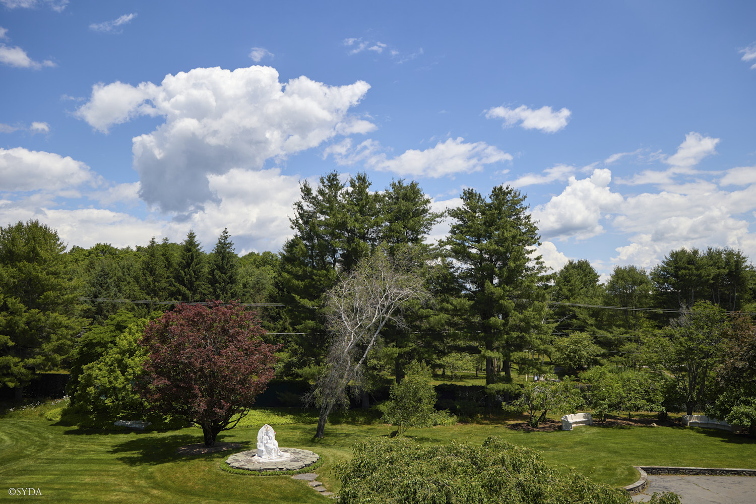 Nature Image